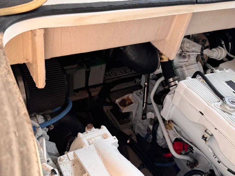 Slide: The Image of Sea Ray Sundancer 400 2017 - 54