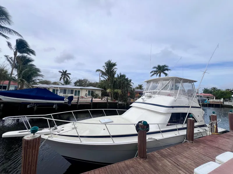 The Image of 1988 Bertram 43 Convertible yacht docked at a marina with palm trees. - 0