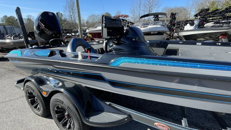 The Image of Bass Cat Eyra 2021 - 1