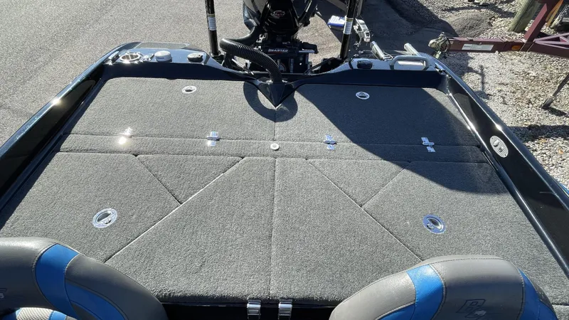 Slide: The Image of Bass Cat Eyra 2021 - 11