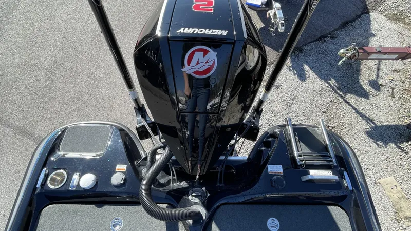 Slide: The Image of Bass Cat Eyra 2021 - 12