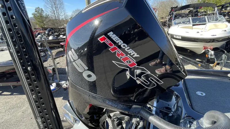 Slide: The Image of Bass Cat Eyra 2021 - 13