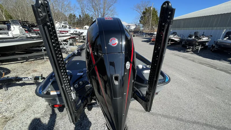 Slide: The Image of Bass Cat Eyra 2021 - 14