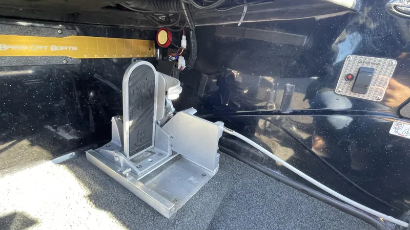 Slide: The Image of Bass Cat Eyra 2021 - 23