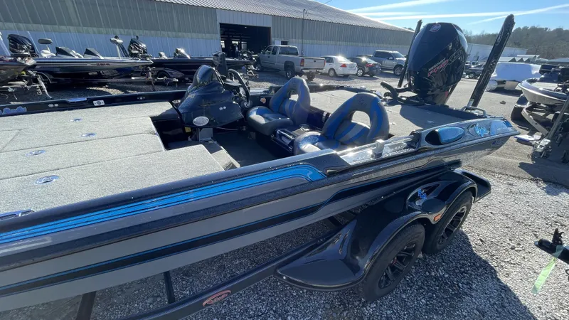 Slide: The Image of Bass Cat Eyra 2021 - 6