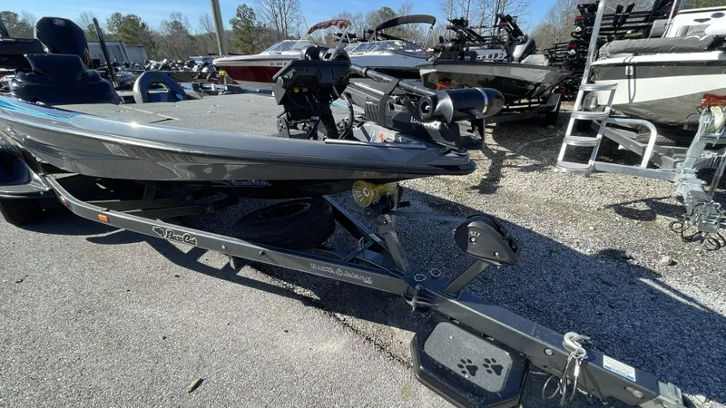 Slide: The Image of Bass Cat Eyra 2021 - 8