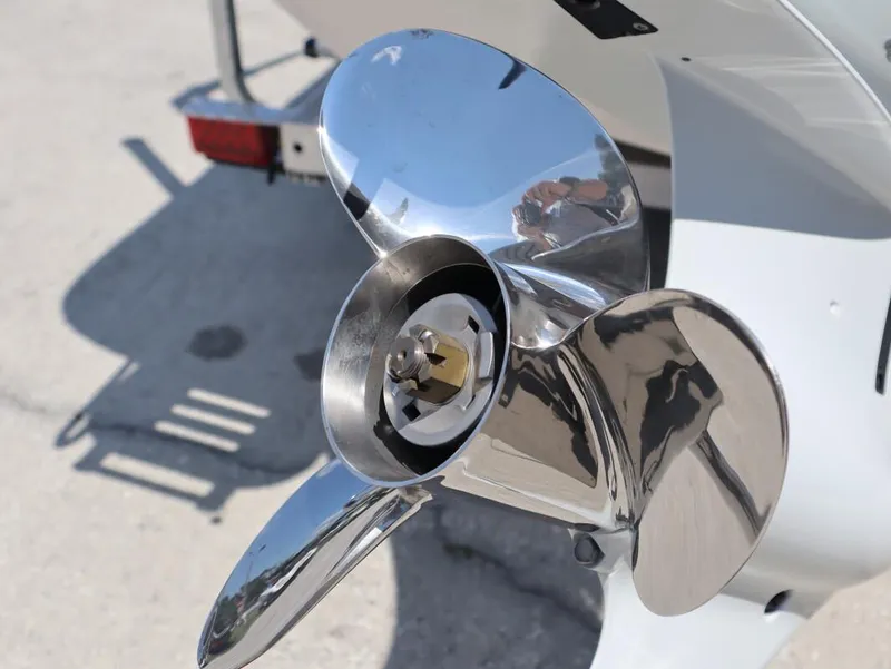 Slide: The Image of Carolina 19 LS 2023 - 5