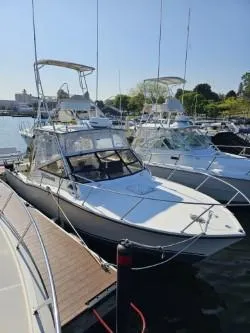 The Image of Carolina Classic - 0