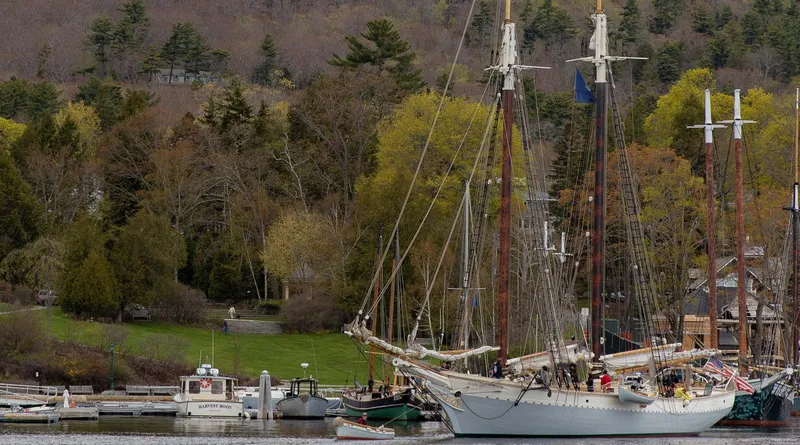 Slide: The Image of Gamage Coastal Gaff Rigged Schooner, 1962, docked in a scenic harbor with lush greenery. - 3
