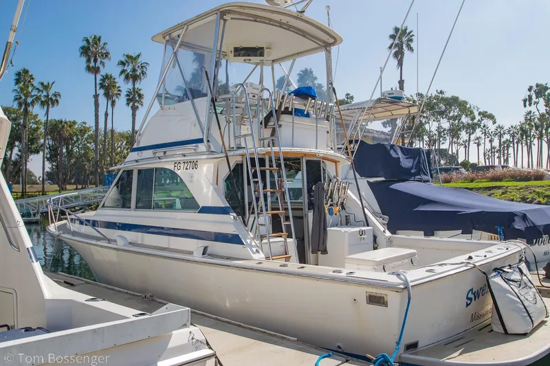 The Image of 1976 Bertram 35 Convertible boat docked at marina with palm trees in background. - 0