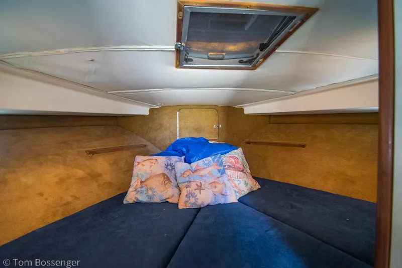 Slide: The Image of Interior cabin of a 1976 Bertram 35 Convertible with blue bedding and floral pillows. - 21
