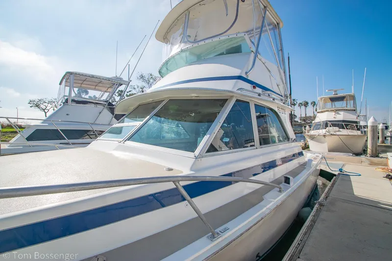 Slide: The Image of 1976 Bertram 35 Convertible yacht docked at marina under clear blue sky. - 3