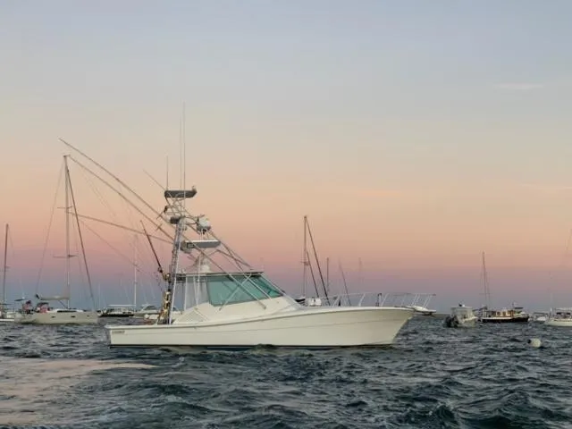 Slide: The Image of 2007 Topaz 40 Express boat on the water at sunset. - 1