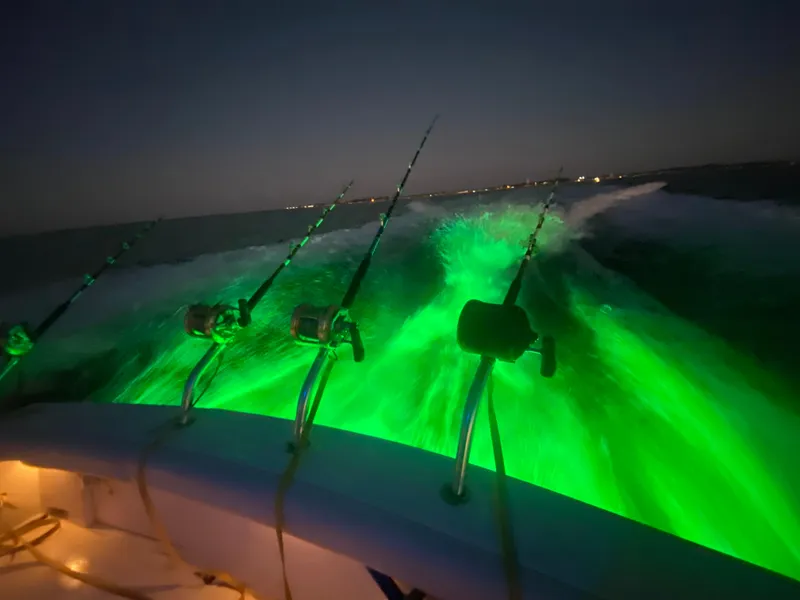 Slide: The Image of Topaz 40 Express 2007 - 12