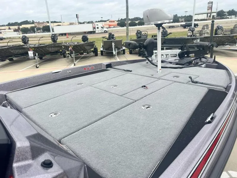 Slide: The Image of Bass Cat Caracal STS 2024 - 10