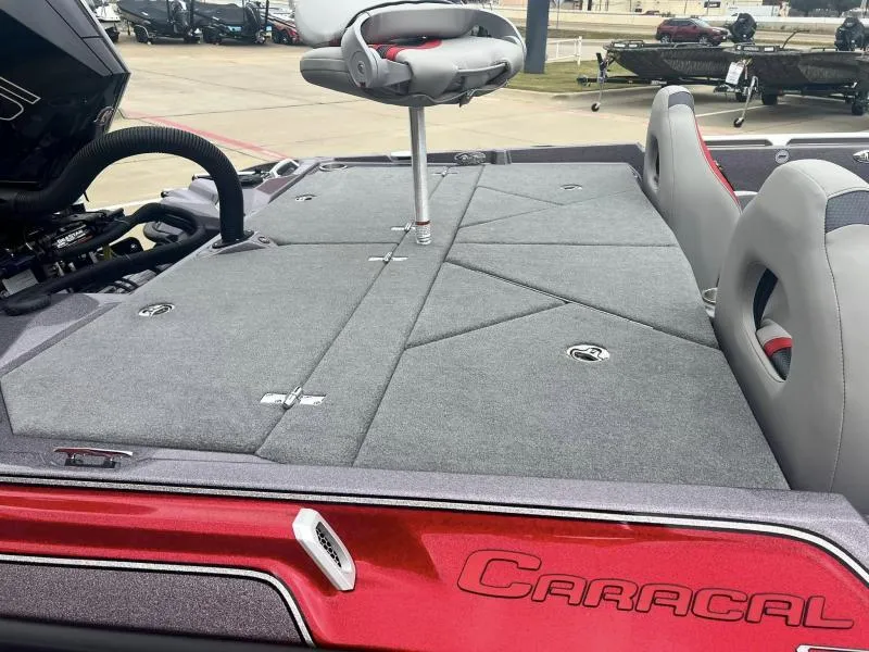 Slide: The Image of Bass Cat Caracal STS 2024 - 14