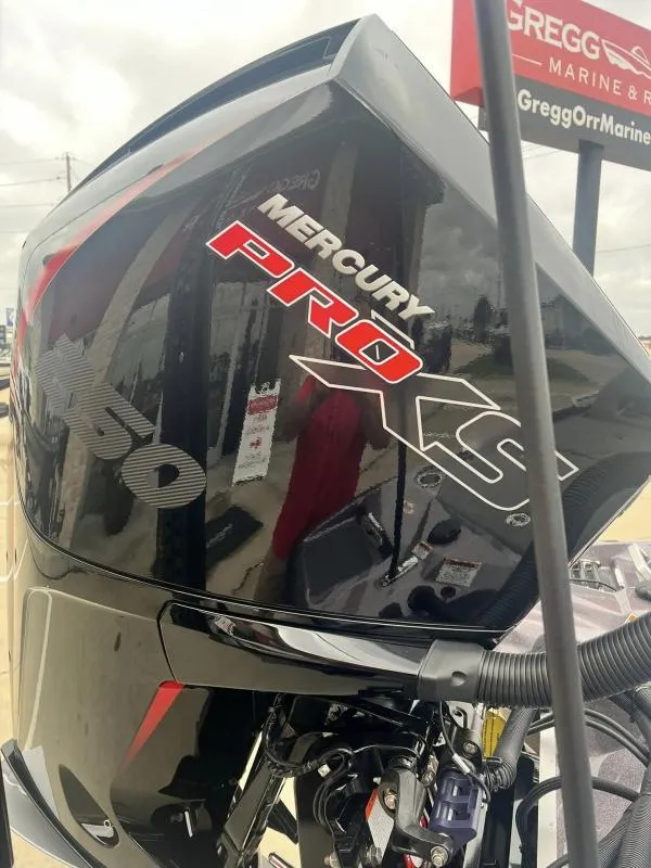 Slide: The Image of Bass Cat Caracal STS 2024 - 15