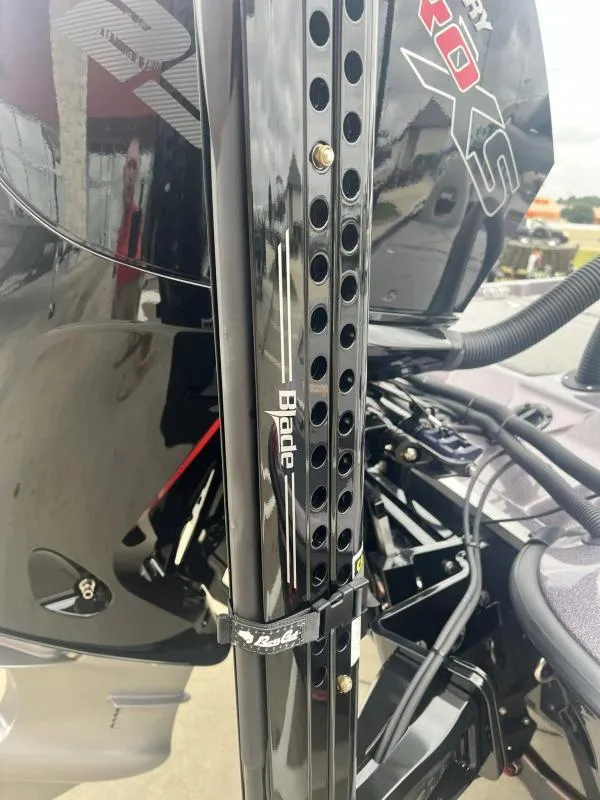 Slide: The Image of Bass Cat Caracal STS 2024 - 16