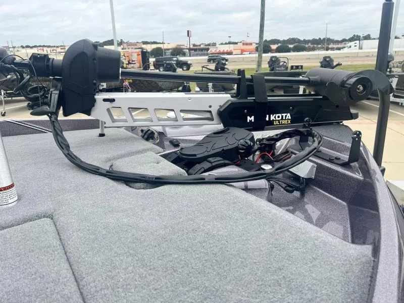 Slide: The Image of Bass Cat Caracal STS 2024 - 9