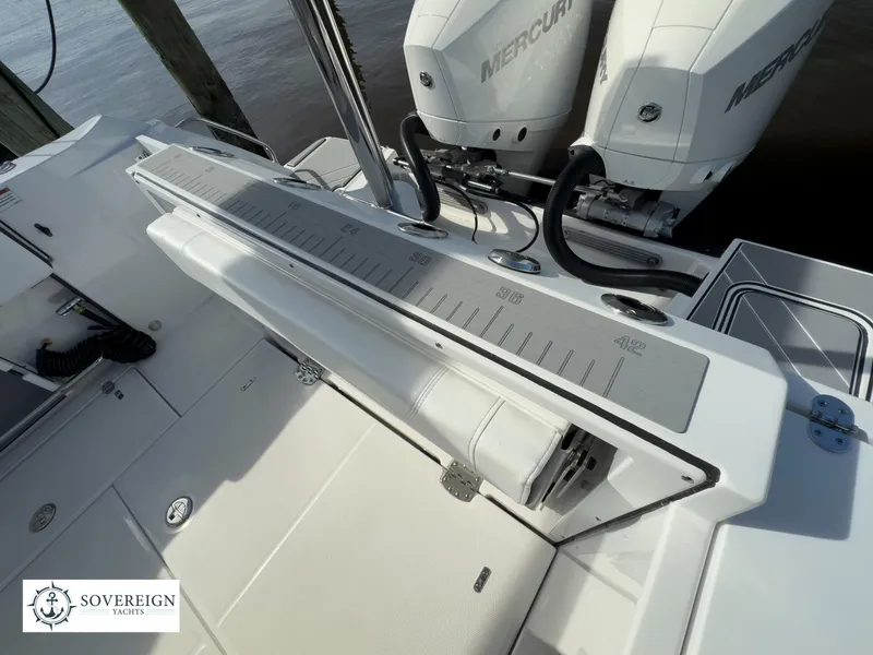 Slide: The Image of Blackfin 252 DC 2024 - 51