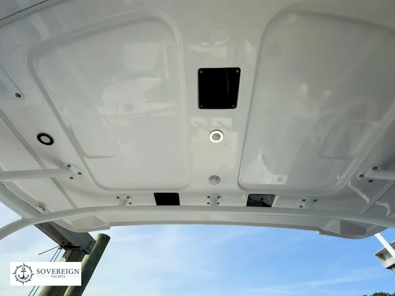 Slide: The Image of Blackfin 252 DC 2024 - 60