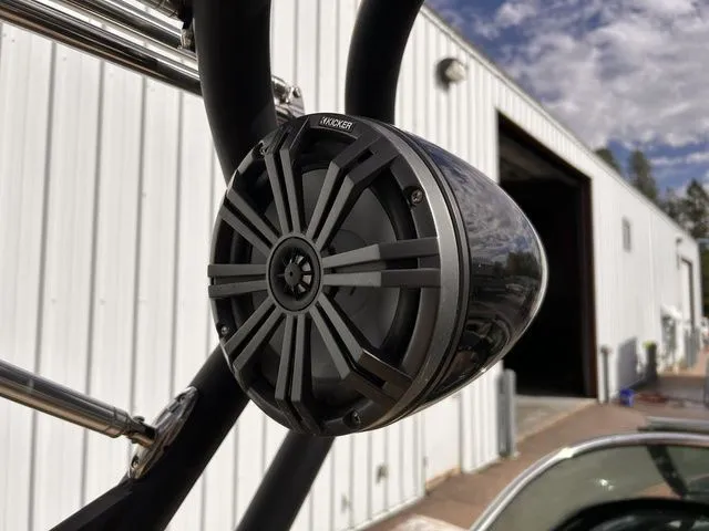 Slide: The Image of Sanger V237 SX 2023 - 16