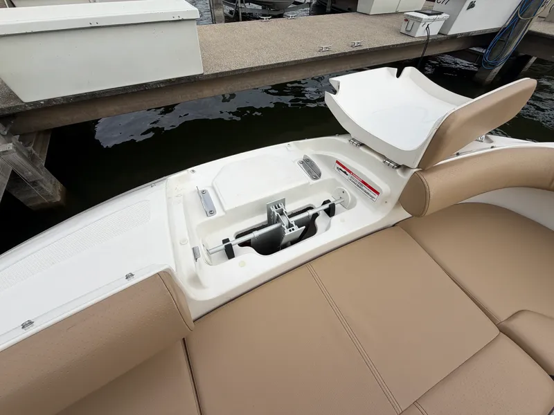 Slide: The Image of Sea Ray 250 SDX 2019 - 21