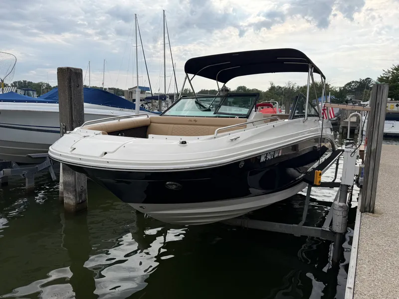 Slide: The Image of Sea Ray 250 SDX 2019 - 3