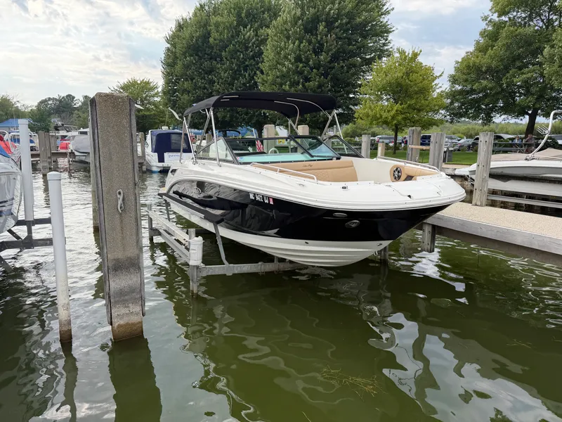 The Image of Sea Ray 250 SDX 2019 - 0