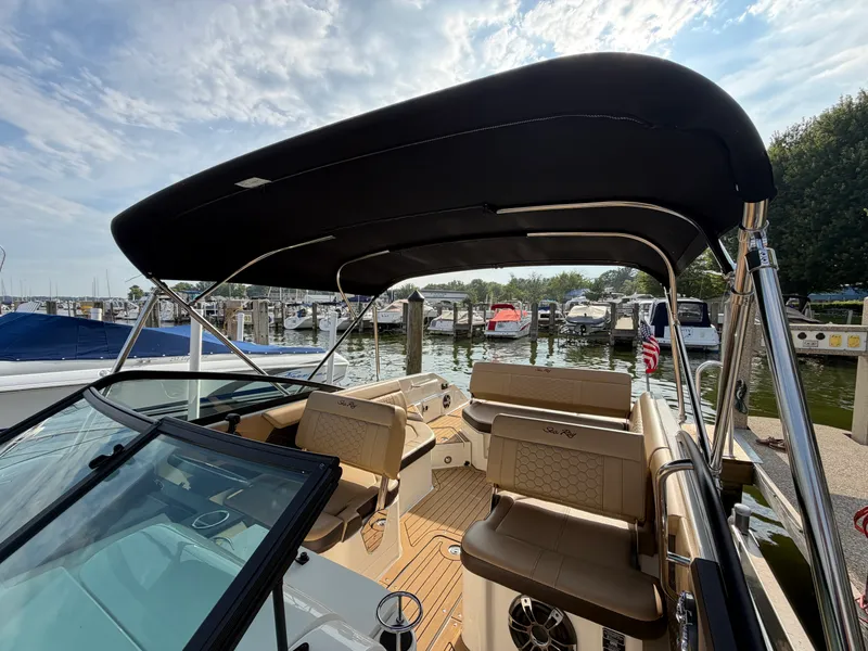 Slide: The Image of Sea Ray 250 SDX 2019 - 26