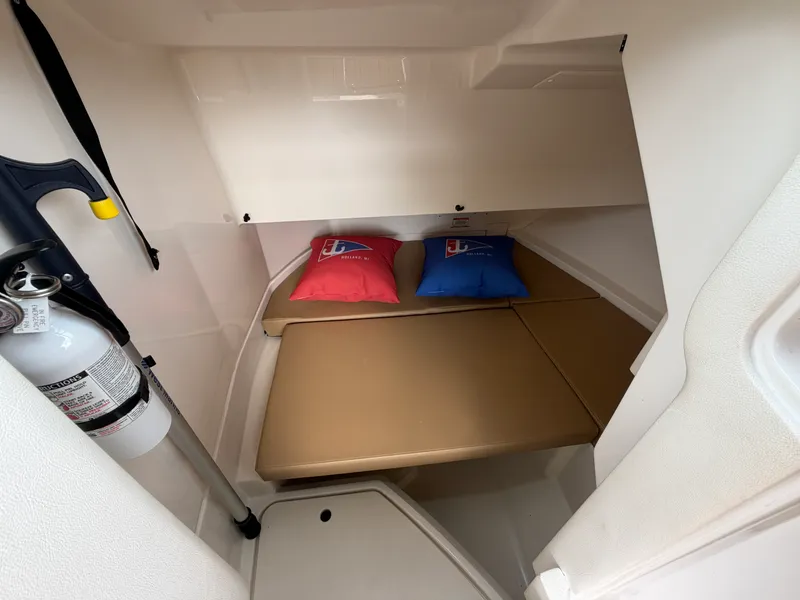Slide: The Image of Sea Ray 250 SDX 2019 - 23