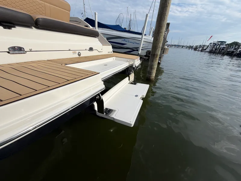 Slide: The Image of Sea Ray 250 SDX 2019 - 33