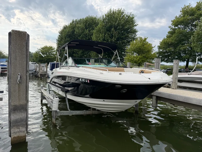 Slide: The Image of Sea Ray 250 SDX 2019 - 1