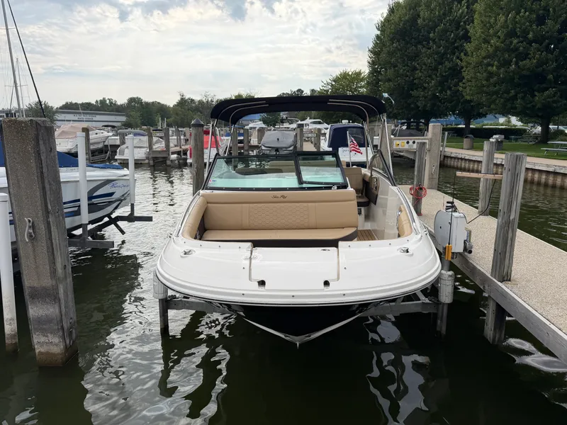 Slide: The Image of Sea Ray 250 SDX 2019 - 2