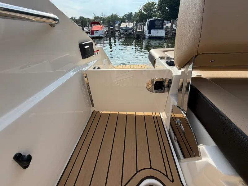 Slide: The Image of Sea Ray 250 SDX 2019 - 34