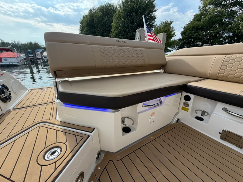 Slide: The Image of Sea Ray 250 SDX 2019 - 29