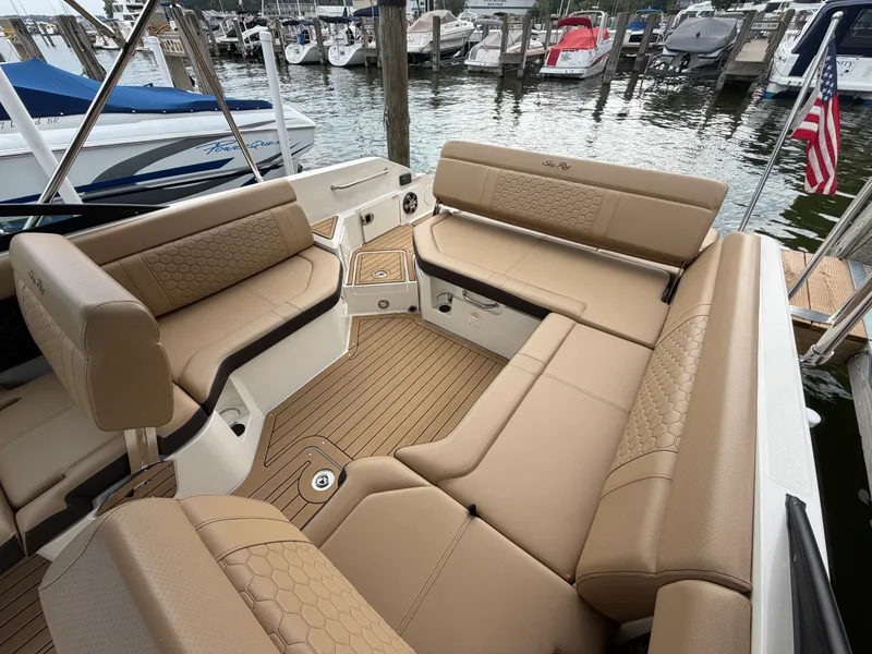 Slide: The Image of Sea Ray 250 SDX 2019 - 11