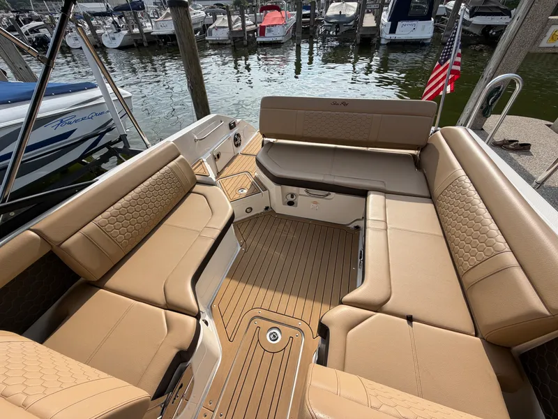 Slide: The Image of Sea Ray 250 SDX 2019 - 28