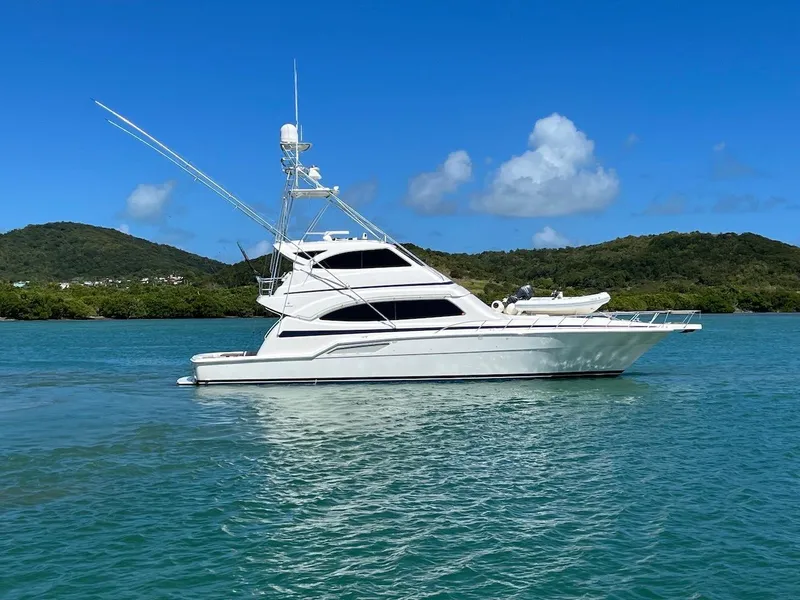 Slide: The Image of 2004 Bertram 670 yacht on clear blue water with scenic background. - 10