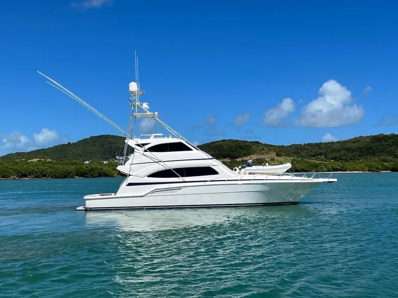 Slide: The Image of 2004 Bertram 670 yacht on clear blue water with green hills in the background. - 8