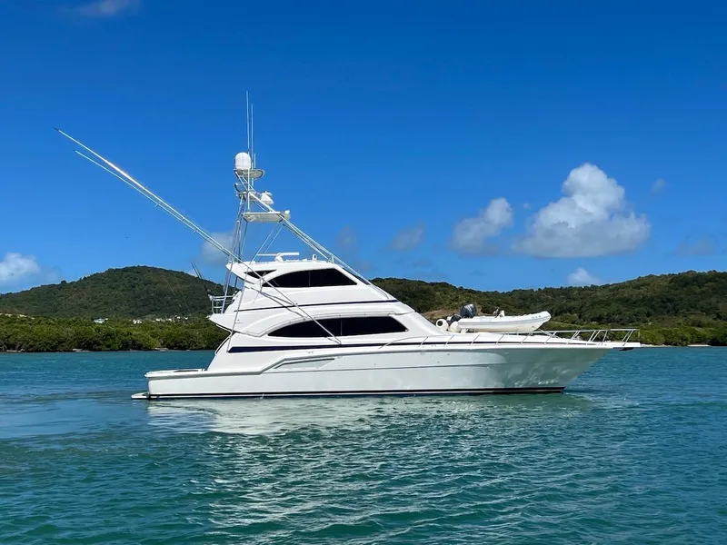 Slide: The Image of 2004 Bertram 670 yacht on calm waters with scenic background. - 9