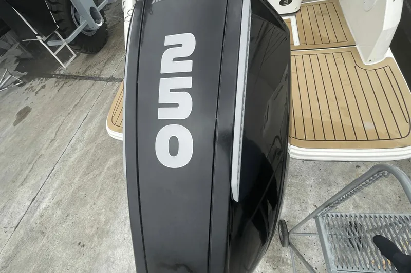 Slide: The Image of 2019 Sea Ray SDX 250 Outboard engine with "250" marking, docked on wooden platform. - 14
