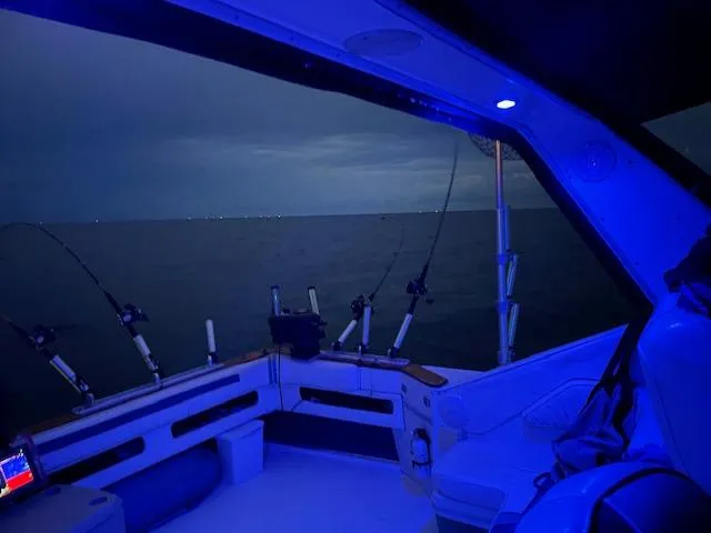 Slide: The Image of Night fishing on a 1989 Sea Ray 390 Express Cruiser with blue interior lighting. - 9
