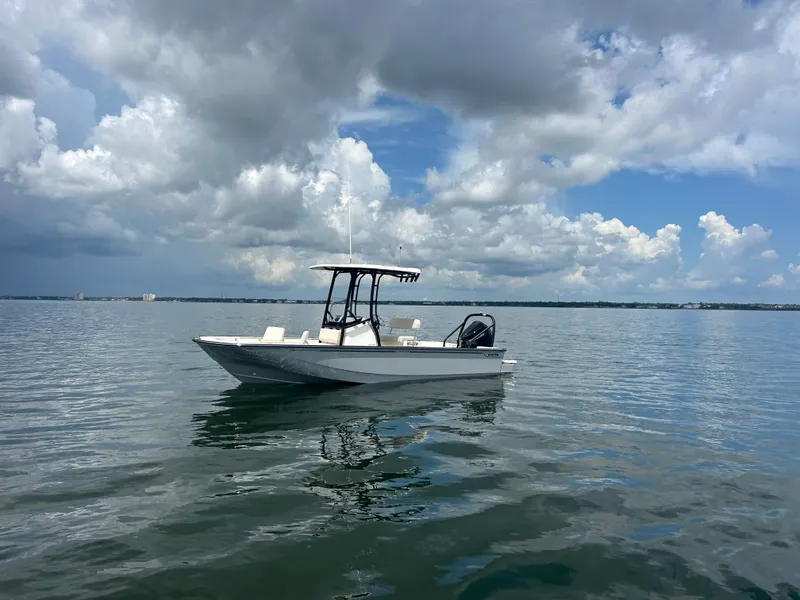 The Image of Boston Whaler 210 Montauk 2027 - 0