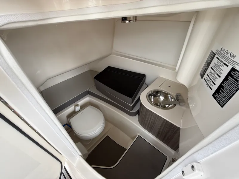Slide: The Image of Sea Ray SDX 270 Outboard 2025 - 24