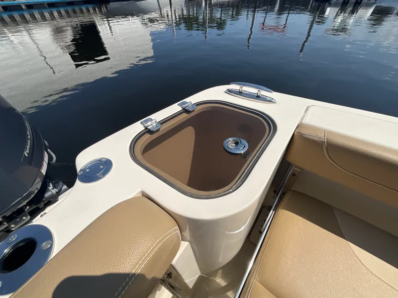 Slide: The Image of Scout 255 DORADO 2019 - 12
