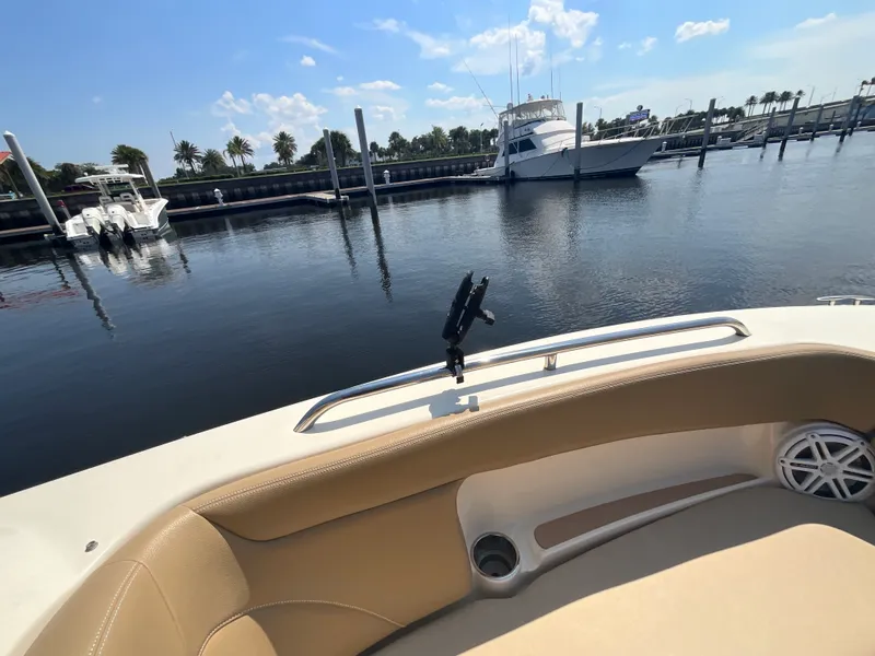 Slide: The Image of Scout 255 DORADO 2019 - 17