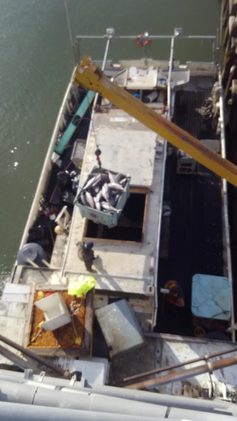 Slide: The Image of Overhead view of 1979 Custom ALBACORE TROLLER unloading fish with crane. - 10