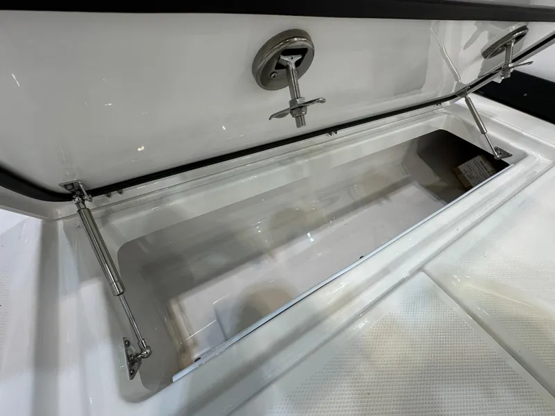 Slide: The Image of 2024 Blackfin 302 DC storage compartment with open lid and hydraulic supports. - 29