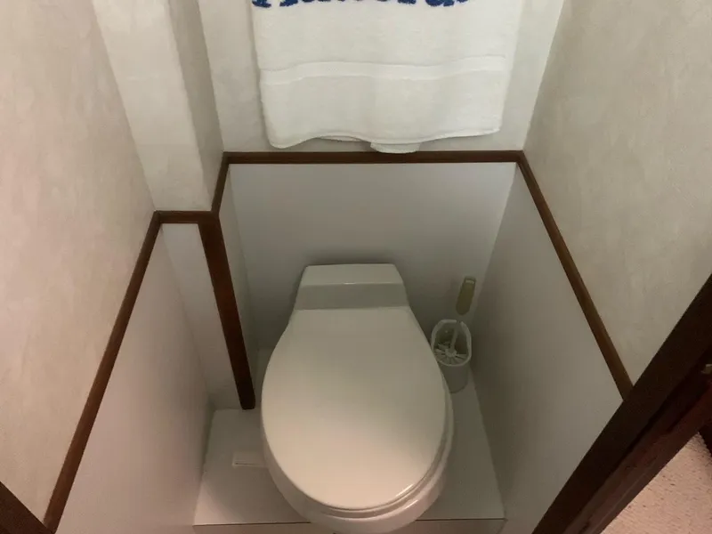Slide: The Image of Compact bathroom on 1974 Hatteras 46 Convertible yacht with toilet and towel. - 10